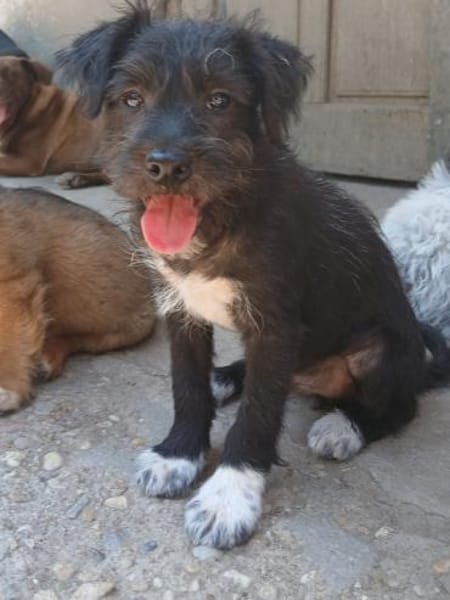 Erik sucht seine Familie