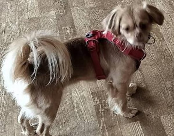 Chleo durfte nicht bleiben