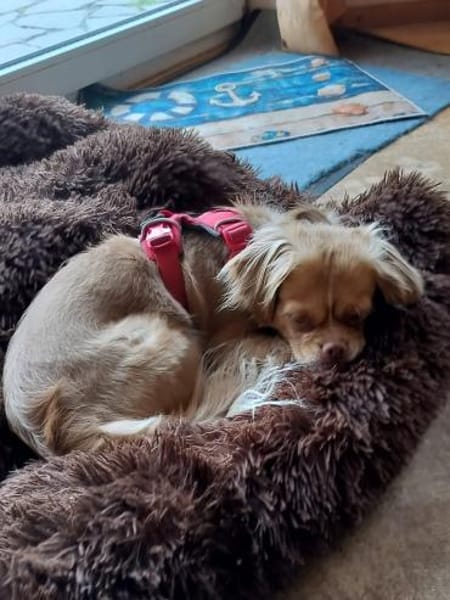 Chleo durfte nicht bleiben