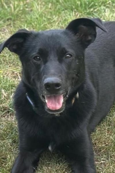 FIETE sucht ein neues Zuhause