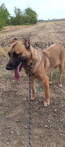 Liebenswerte Mira sucht euch