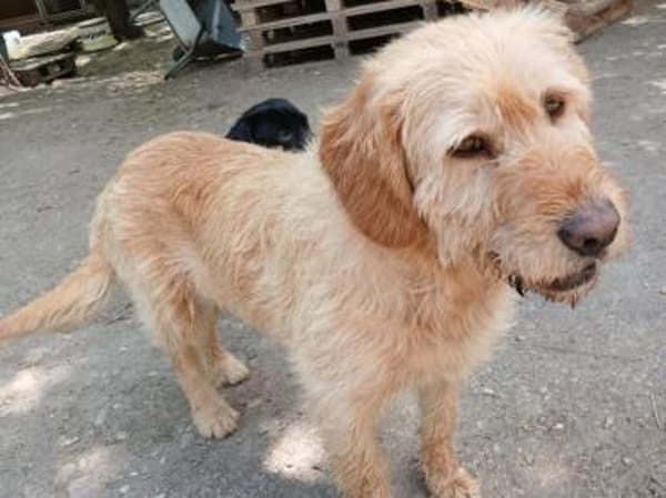 Die hübsche Zani wartet auf euch