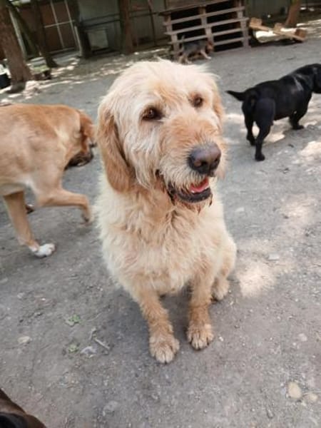 Die hübsche Zani wartet auf euch