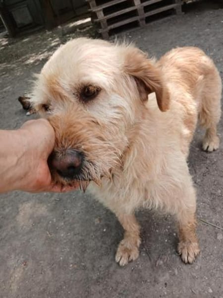 Die hübsche Zani wartet auf euch