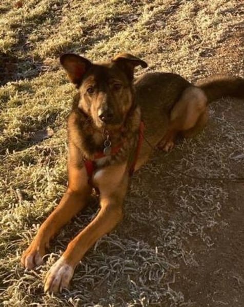 HSH-Mix ❤ Nelli ❤ in 25474 Bönningstedt