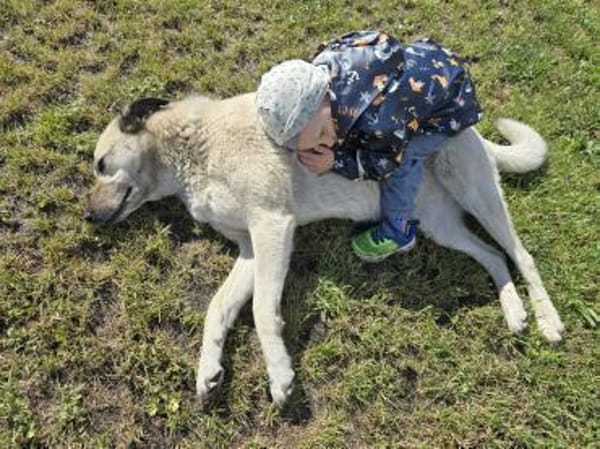 Foxy, kinder- und katzenlieb, zauberhaft