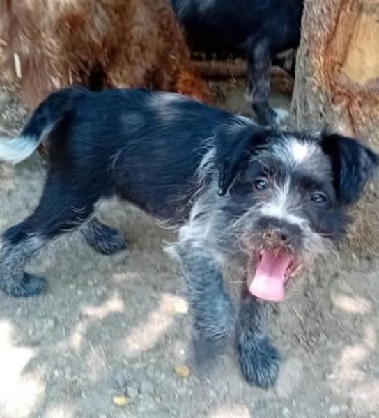 Elza möchte ihre Koffer packen