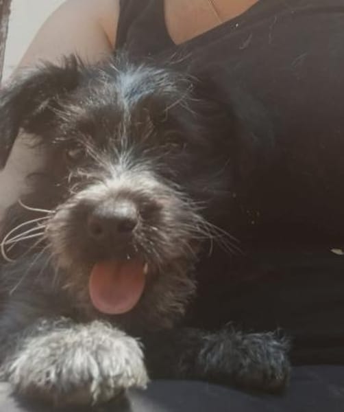 Elza möchte ihre Koffer packen