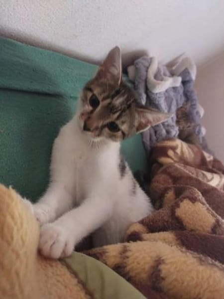 Tarzan sucht seine Menschen ❤
