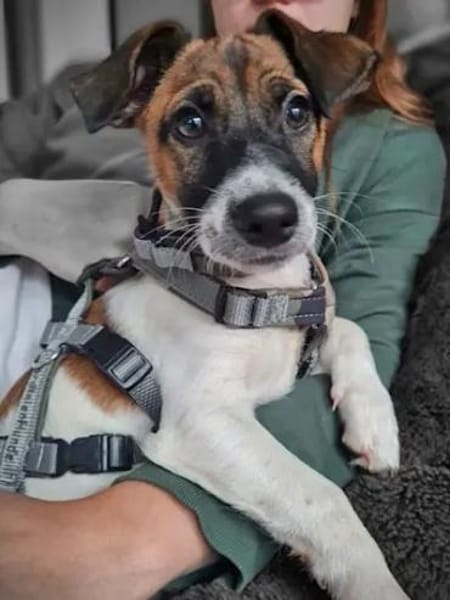 PADU - 7 aus dem Fischernetz