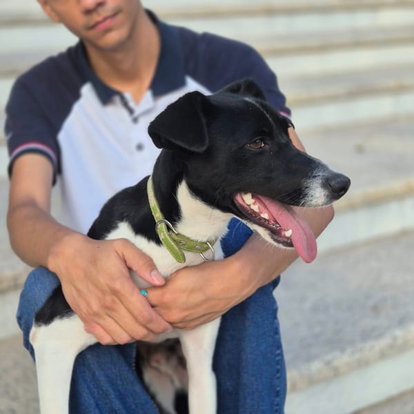 JAGGER (Martina)