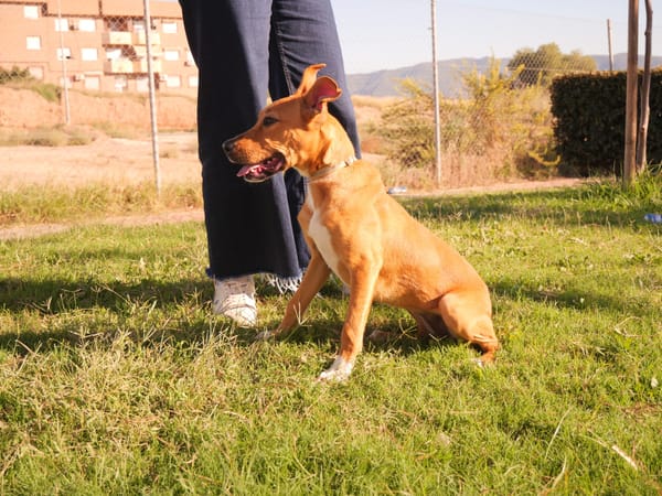 PINKY (Maria)