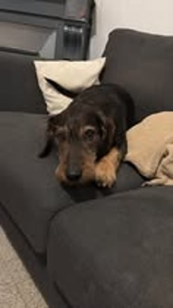 MARLEY