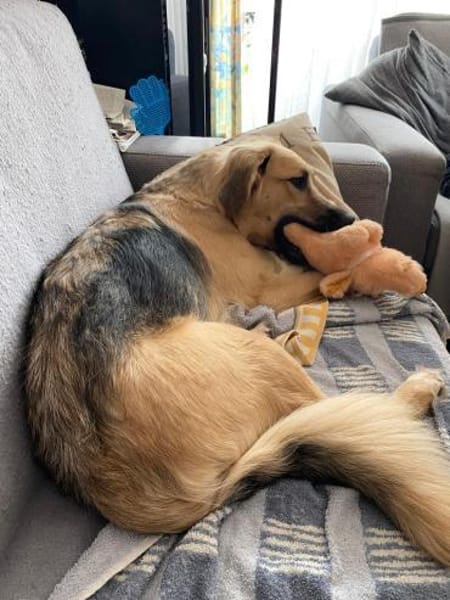 Buffy sucht ihre Familie
