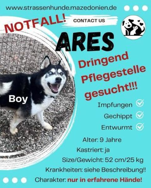 Ares sucht dringend