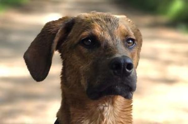 LASKOwartet in 25474 Bönningstedt!