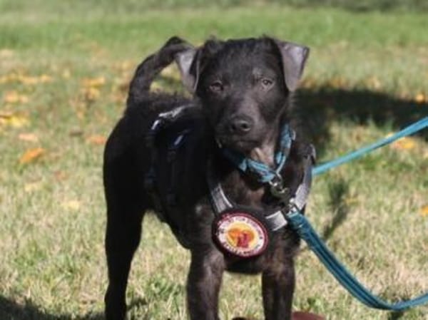 Paco sucht seine Familie