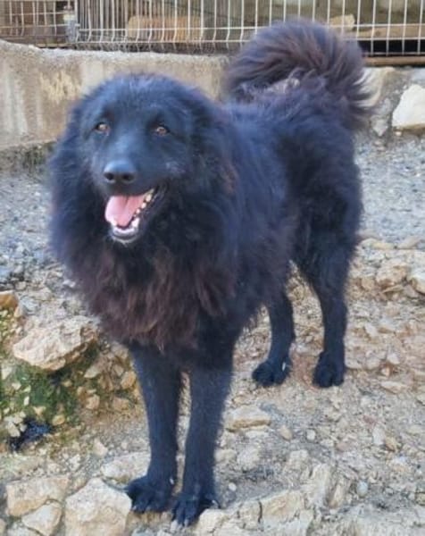 LENZIwartet schon in 22559 Hamburg!