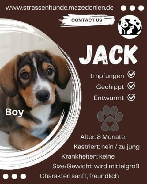 Ein junger Schatz sucht sein Zuhause