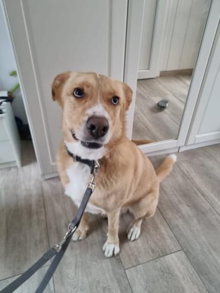 Diego aus 45659 Recklinghausen