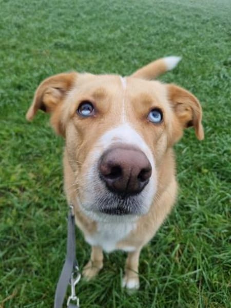 Diego aus 45659 Recklinghausen