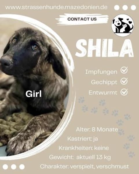 Shila wartet noch auf ihr Glück