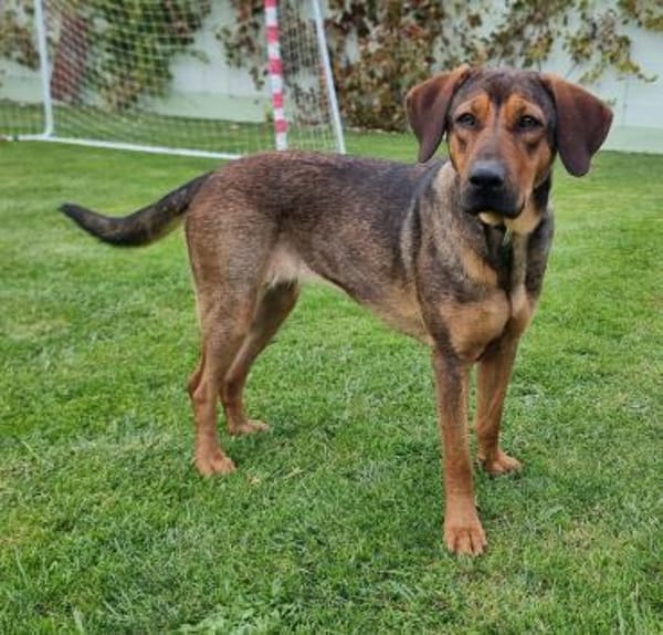 Miami - Liebe Schönheit