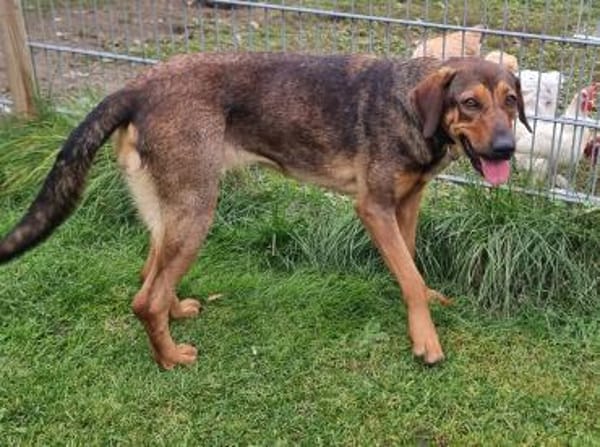 Miami - Liebe Schönheit