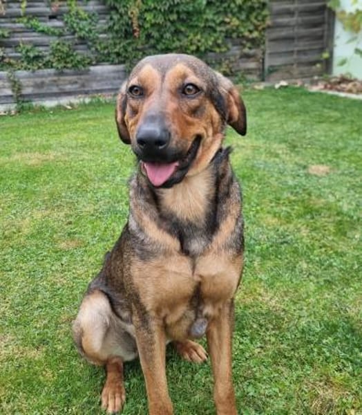 Miami - Liebe Schönheit