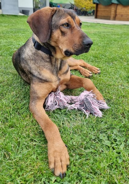 Miami - Liebe Schönheit