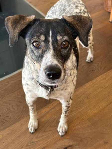 Tiziana sucht ihre Menschen