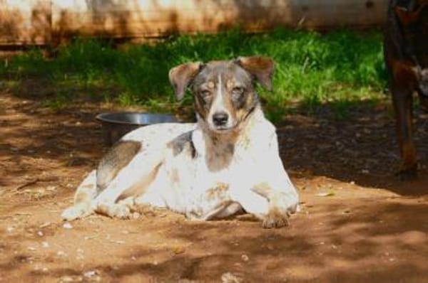 Tiziana sucht ihre Menschen