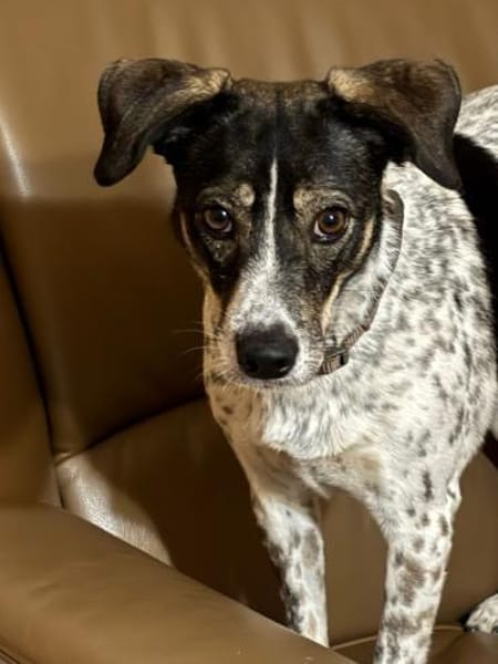 Tiziana sucht ihre Menschen