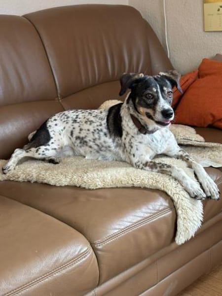 Tiziana sucht ihre Menschen