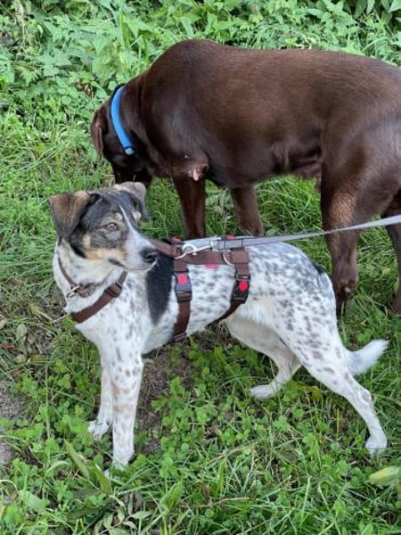 Tiziana sucht ihre Menschen