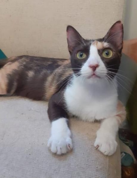 Sanfte Seele sucht Liebe