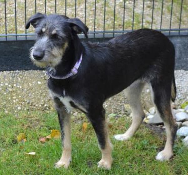 Zara sucht liebe Menschen