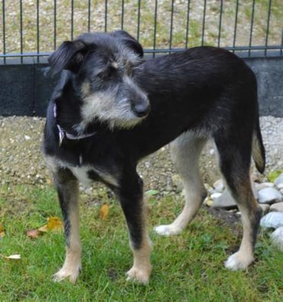 Zara sucht liebe Menschen