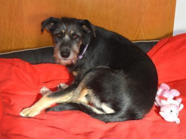 Zara sucht liebe Menschen