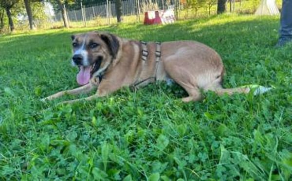 Stian ist ein sanfter & liebevoller <3