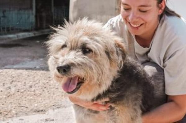 Liebenswerter Strubbel sucht ein einfühl