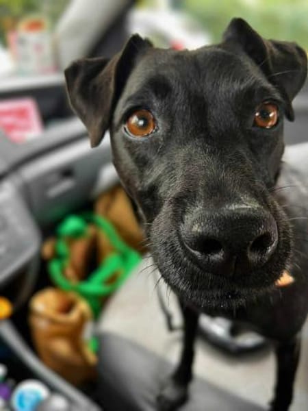 Otti - die Kinderliebende