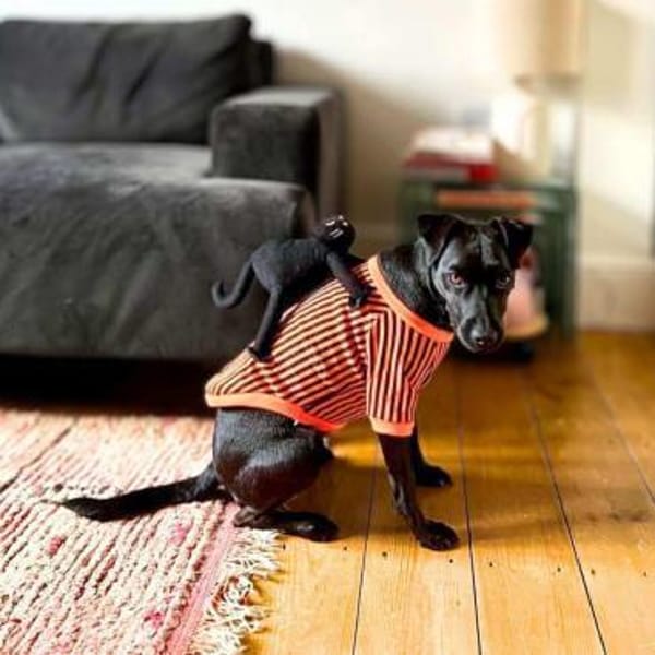 Otti - die Kinderliebende