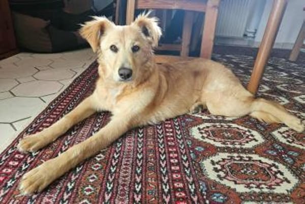 Alma, jung und dynamisch