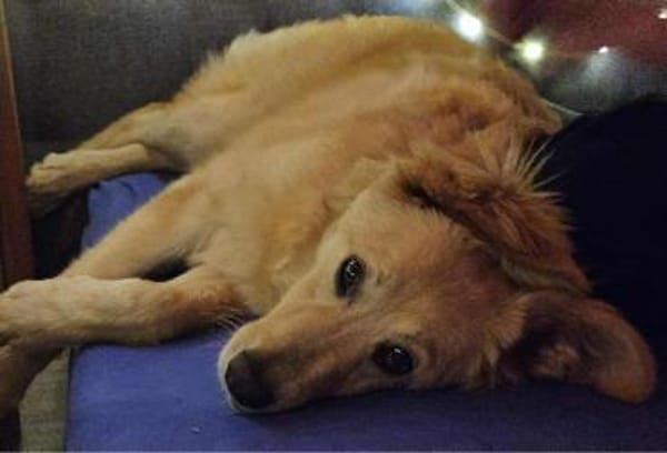 Alma, jung und dynamisch