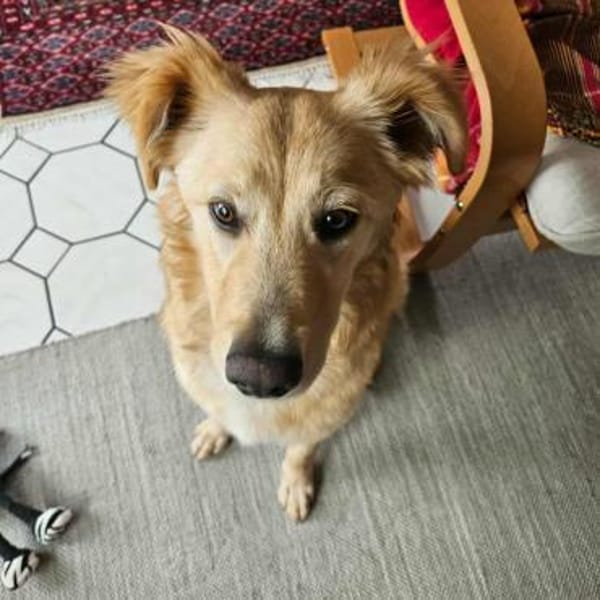 Alma, jung und dynamisch