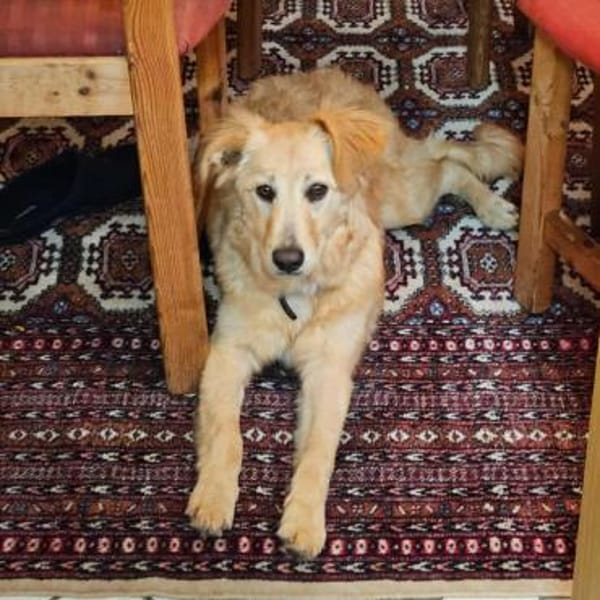 Alma, jung und dynamisch