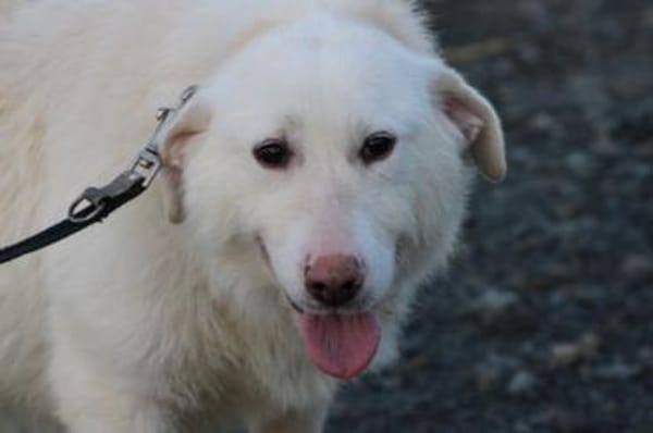 Maly - perfekt für Familie mit Kindern