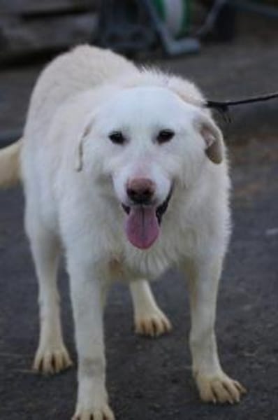 Maly - perfekt für Familie mit Kindern