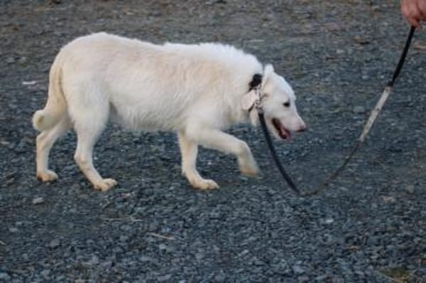 Maly - perfekt für Familie mit Kindern